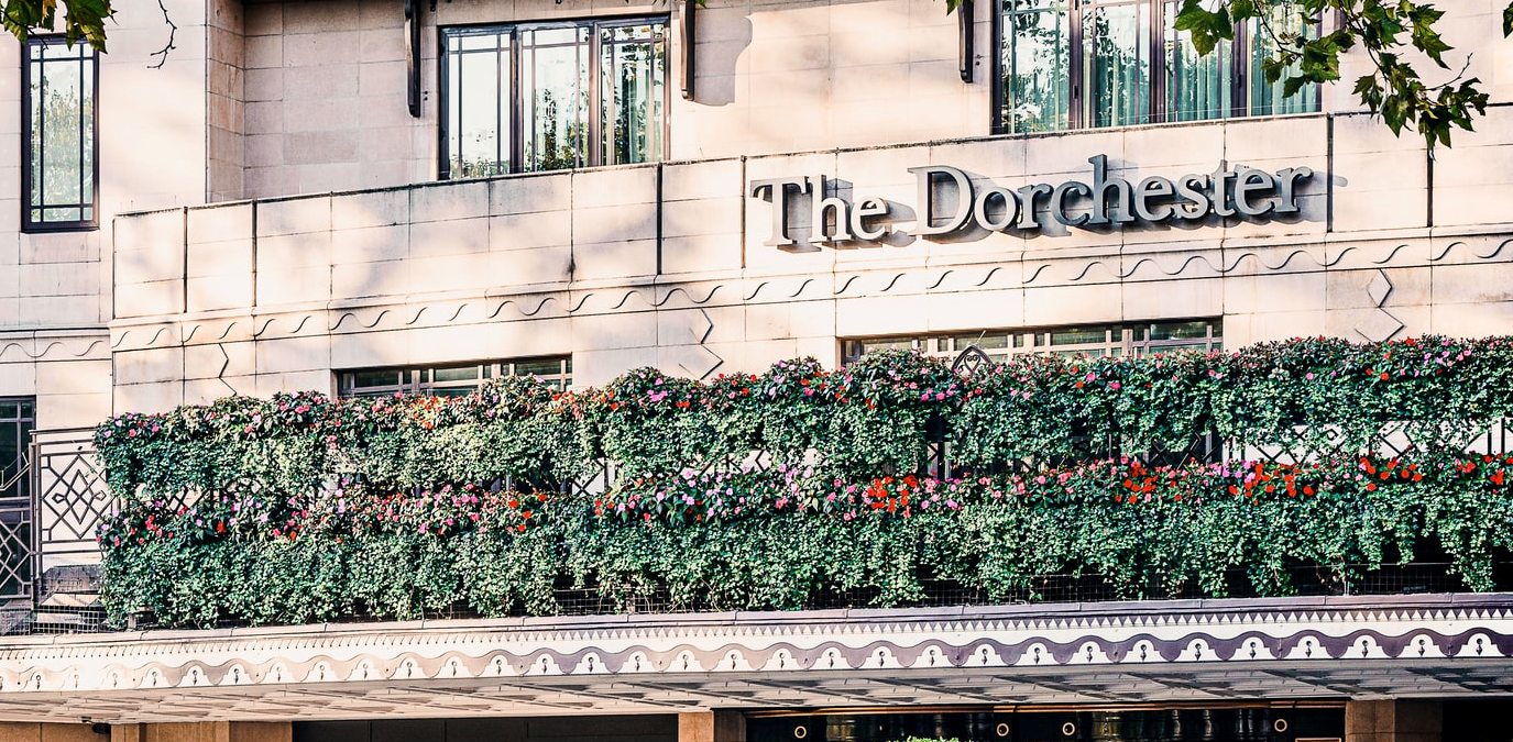 The Dorchester Bar moves to the rooftop for a spring pop-up | Hot Dinners